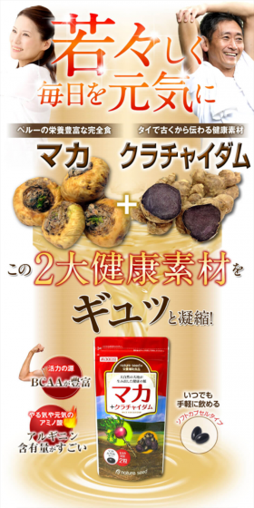 マカ＋クラチャイダムのLPデザイン（健康・美容食品・サプリ／ブラウン系／健康・癒し系）スマホ版