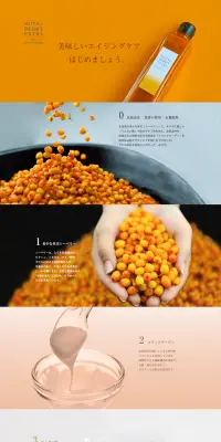 ロイヤルベリーエキストラのLPデザイン（健康・美容食品・サプリ／オレンジ系／キレイ系）PC版
