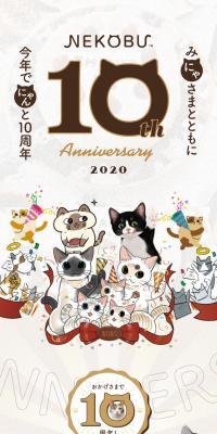 NEKOBU 10th Anniversary