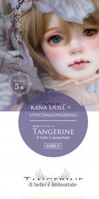 DOLK x SPIRITDOLL Tangerine