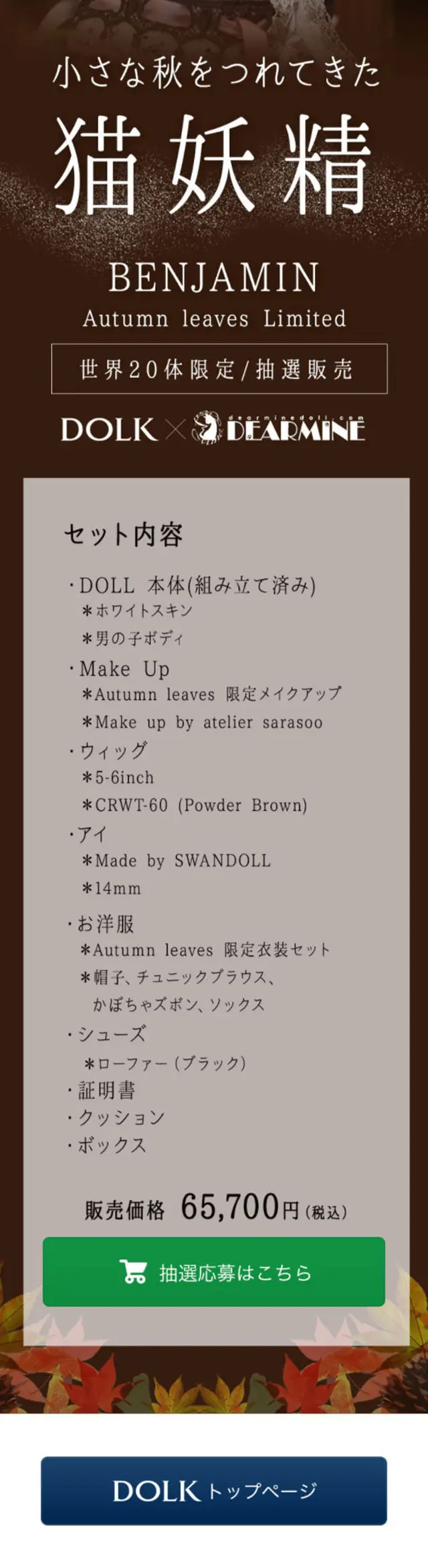 DOLK×DEARMINE BENJAMINAutumnleavesLimited LP design (Kids, Baby, Toys / Brown tones / Natural style) Mobile version