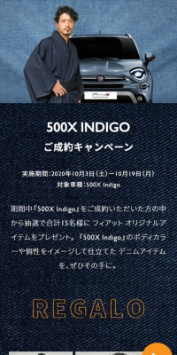 500XIndigo Purchase Campaign