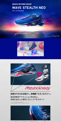 ウエーブステルスネオのLPデザイン（スポーツ／ブルー系／かっこいい系）PC版