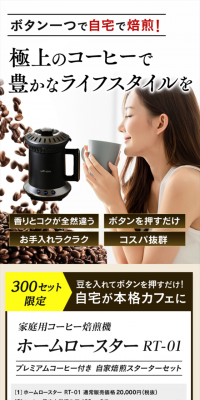 Home Coffee Roaster Home Roaster RT-01