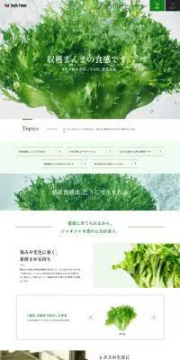 株式会社サイテックファームのLPデザイン（健康・美容食品・サプリ／オレンジ系／シンプル系）PC版