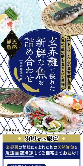 玄界灘の海の幸ざんまい特別セットのLPデザイン（食品／ゴールド系／和風系）スマホ版