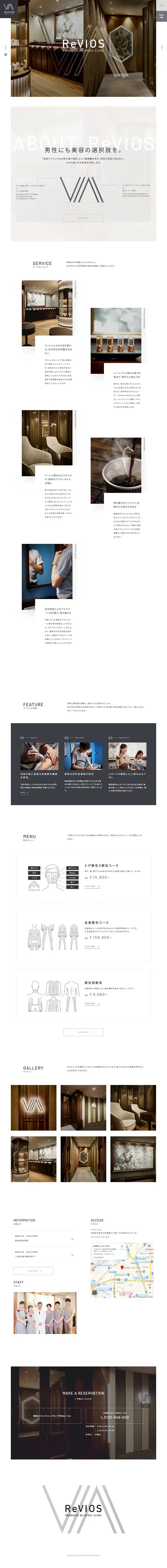 ReVIOS LP design (Services, Insurance, and Finance / Shades of grey / Simple) PC version