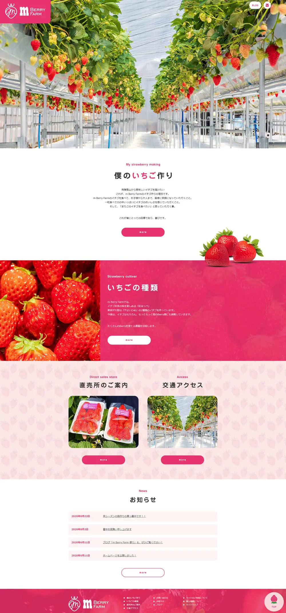 Strawberry LP design (fruit-vegetable / Pink shades / Simple) PC version