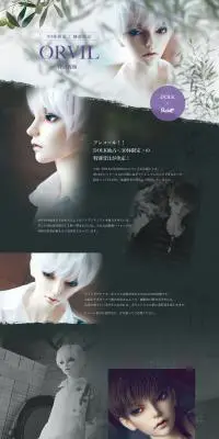 DOLK×RSDOLL 特別再販 ORVILのLPデザイン（玩具・ホビー・フィギュア／グレー系／シンプル系）PC版