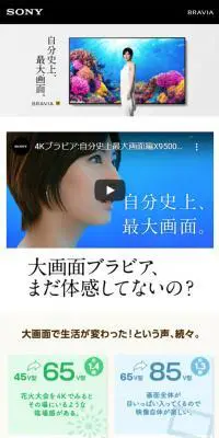 大画面ブラビアのLPデザイン（家電・パソコン・通信機器／ホワイト系／シンプル系）スマホ版