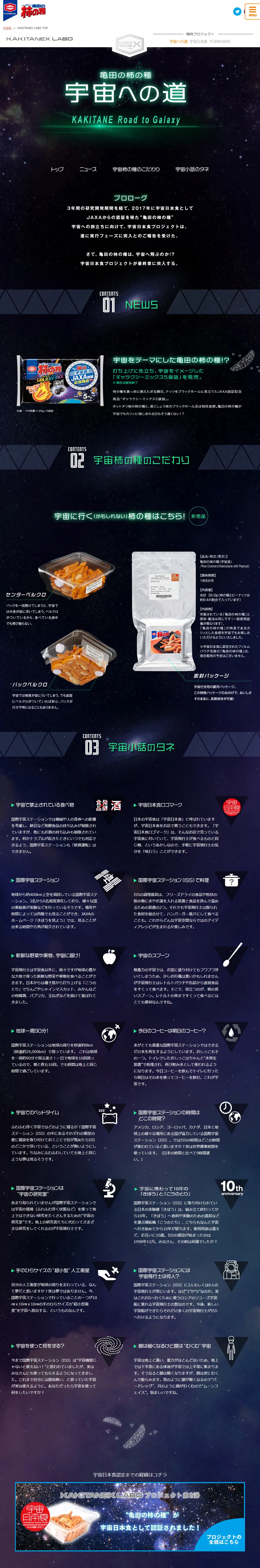 Kamedanokakinotane: Road to Space LP design (Events, Campaigns, Gifts / Green tones / Cool style) PC version
