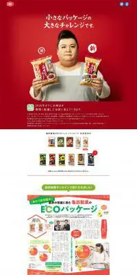 ECOパッケージシリーズのLPデザイン（スイーツ・スナック菓子／レッド系／和風系）PC版