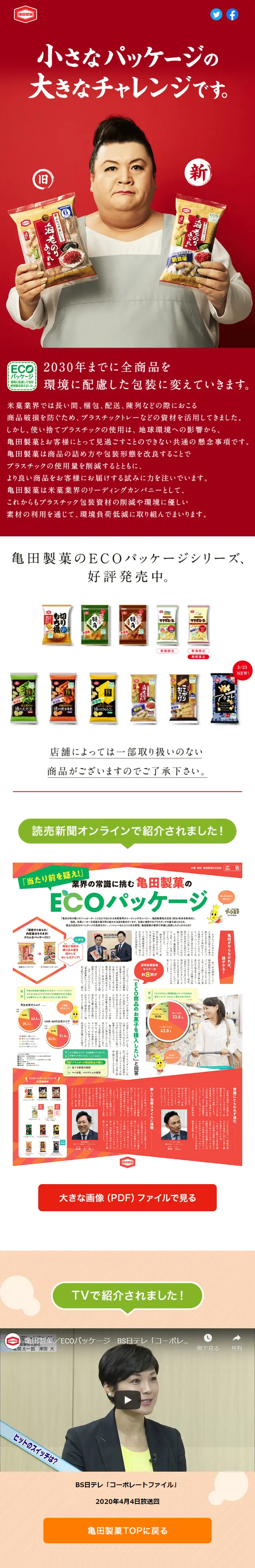 ECO Package Series LP design (Sweets and Snacks / Red tones / Japanese style) Mobile version