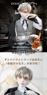 DOLK×SWITCHSOHWALimited-Sonderschullehrerver