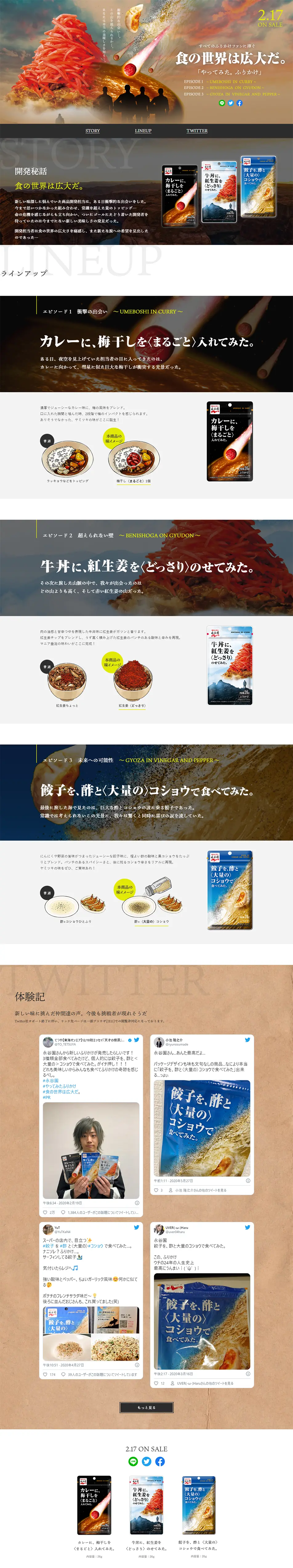やってみた。ふりかけのLPデザイン（食品／ブラウン系／かっこいい系）PC版