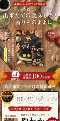 やわかのLPデザイン（ペット・花・DIY工具／ベージュ系／健康・癒し系）PC版