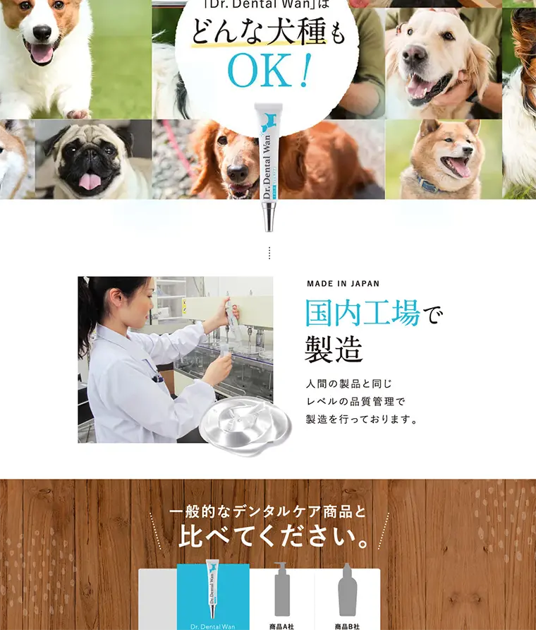 Doctor Dental One LP design (Pets, Flowers, DIY Tools / Shades of blue / Health and Wellness) PC version