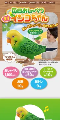 毎日おしゃべり 天才インコちゃんのLPデザイン（玩具・ホビー・フィギュア／ベージュ系／かわいい系）スマホ版