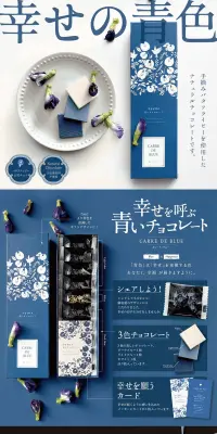 CARRE DE BLUEのLPデザイン（スイーツ・スナック菓子／ブルー系／キレイ系）PC版