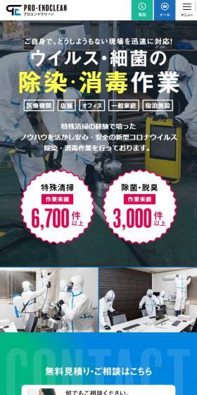 Pro End Clean LP design (Businesses, companies, stores / Green tones / Trust and Safety) Mobile version