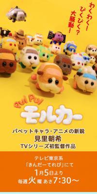 PUI PUI モルカー
