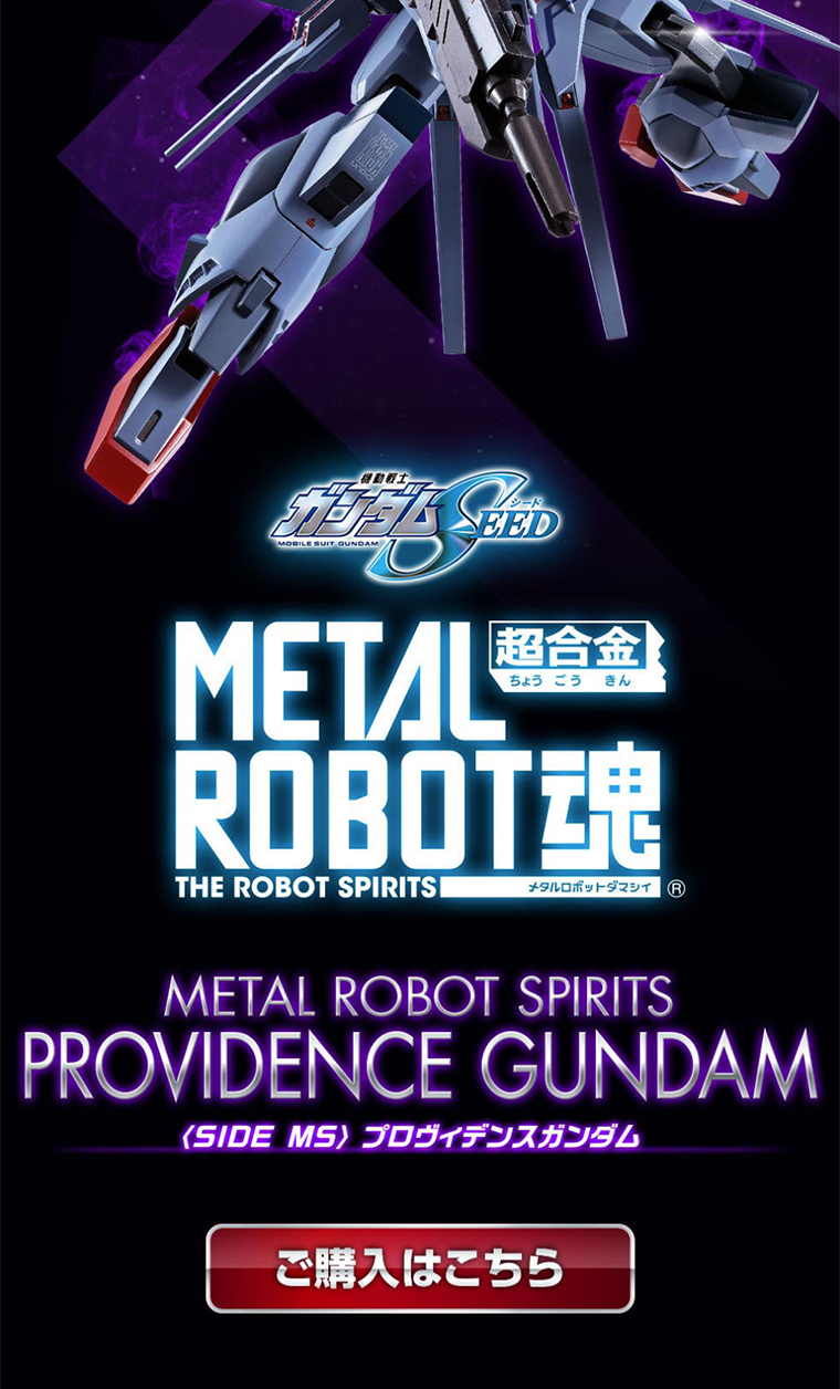 METAL ROBOT魂 ＜SIDE MS＞ プロヴィデンスガンダム_pc_2