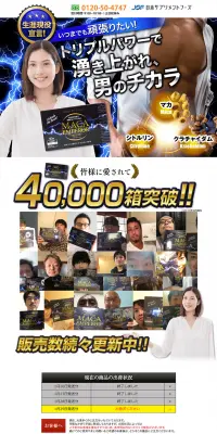 マカエンペラーのLPデザイン（健康・美容食品・サプリ／ブルー系／力強い系）PC版