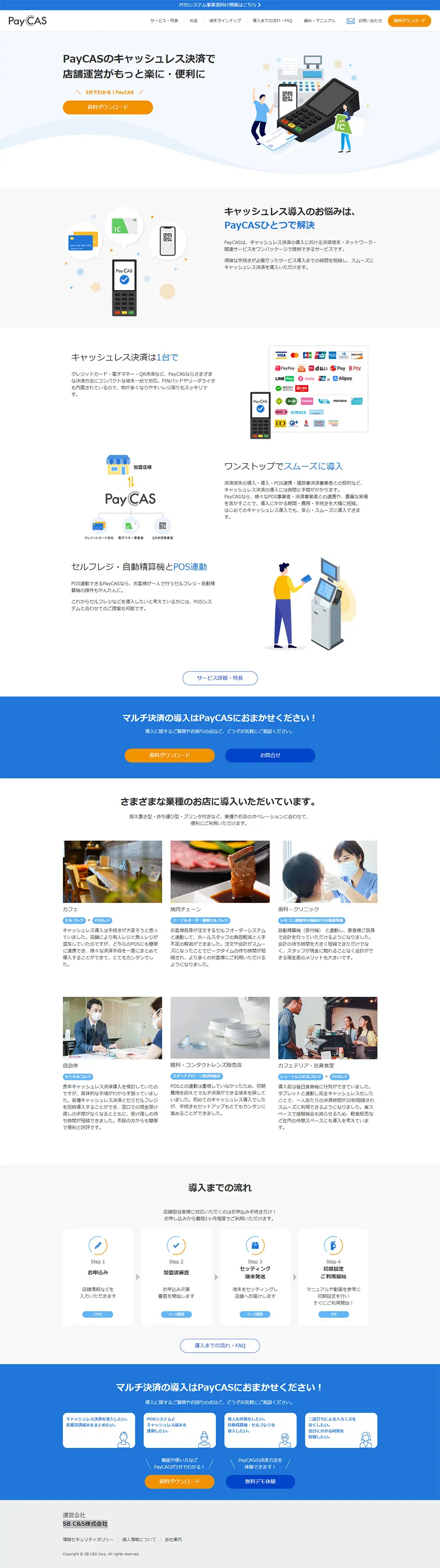 PayCAS LP design (Services, Insurance, and Finance / White-based / Simple) PC version