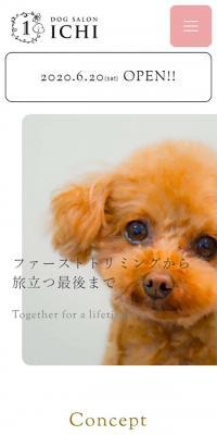 DOGSALON ICHI