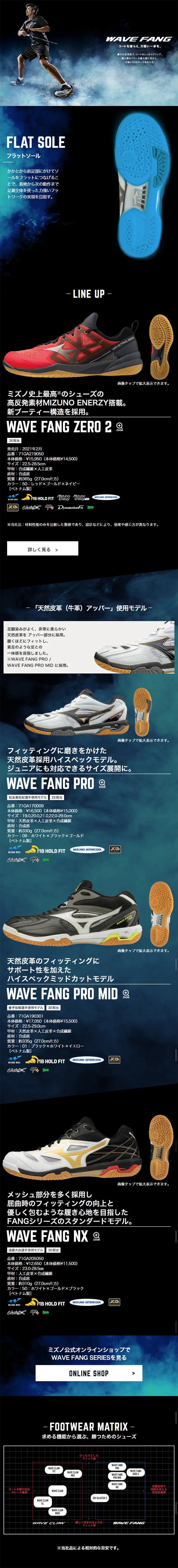 WAVE FANGのLPデザイン（スポーツ／ブラック系／かっこいい系）スマホ版
