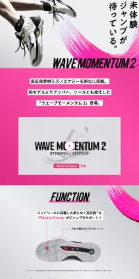 Wave Momentum 2 LP design (sports / Pink shades / Refreshing type) PC version