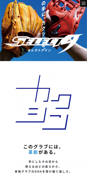 その手に、カクシンを。