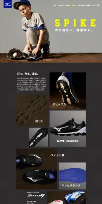 Select Nine Spikes LP design (sports / Shades of grey / Trust and Safety) PC version
