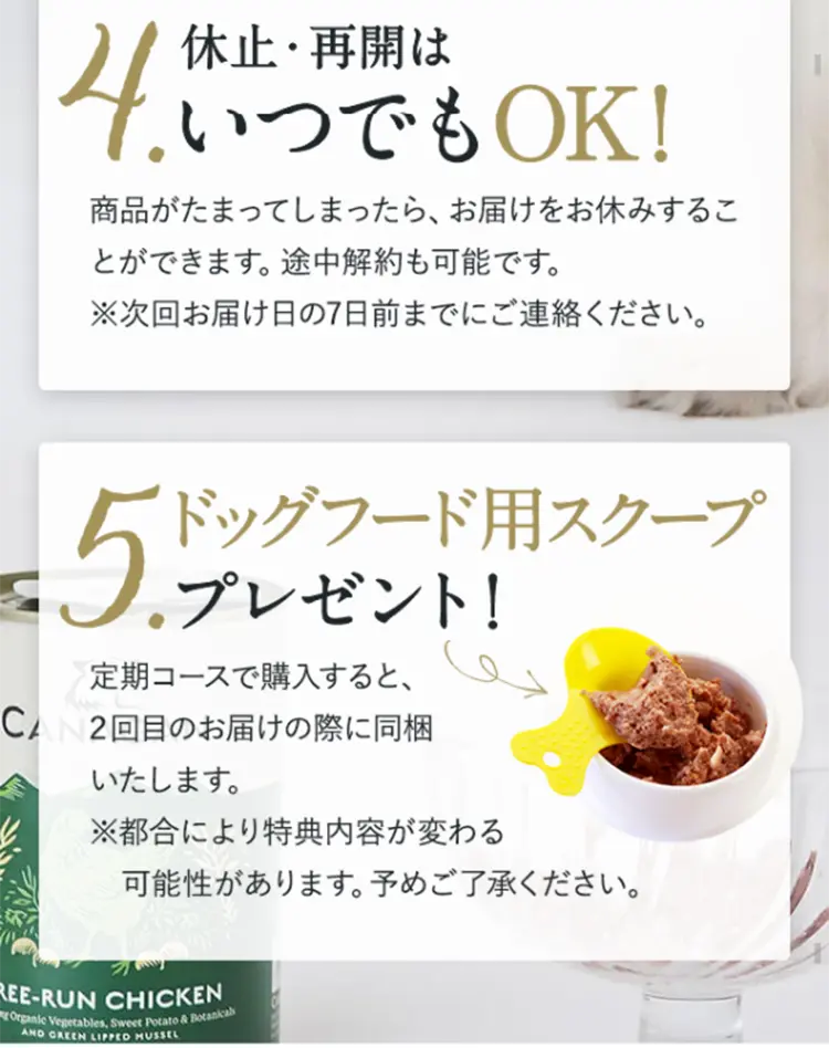 カナガンドッグフードチキン ウェットタイプのLPデザイン（ペット・花・DIY工具／ベージュ系／健康・癒し系）スマホ版