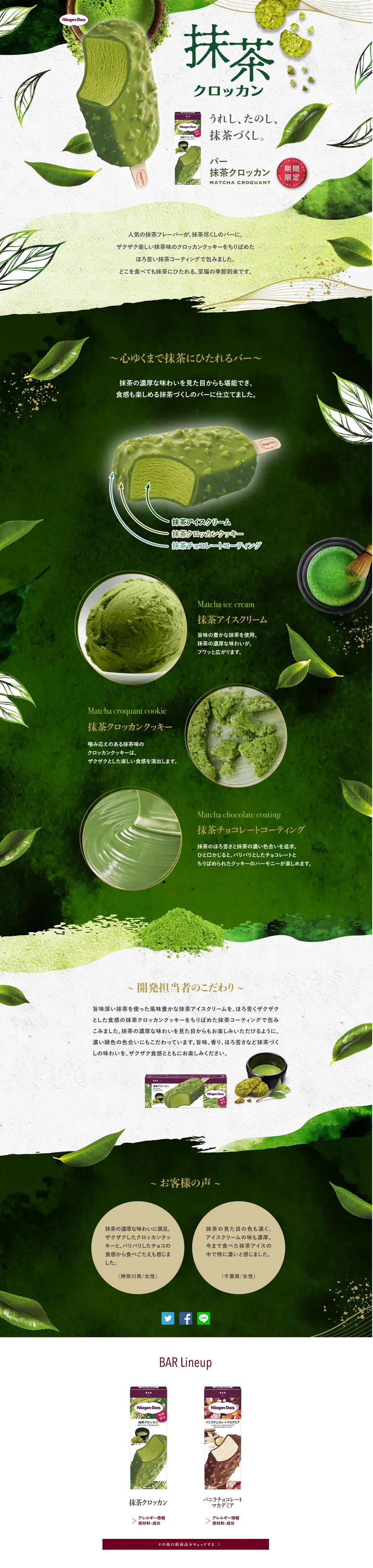 Matcha Croquant LP design (Sweets and Snacks / Green tones / Refined style) PC version