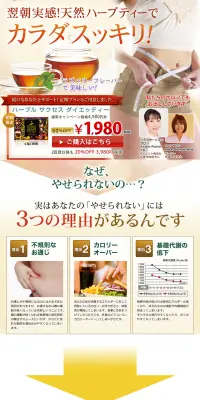 ハーブル サクセス ダイエッティのLPデザイン（健康・美容食品・サプリ／ベージュ系／健康・癒し系）PC版