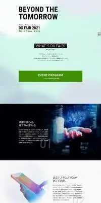 DX Fair LP design (Services, Insurance, and Finance / White-based / Cool style) PC version