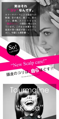 ハホニコプロ トルマリンローラー かっさのLPデザイン（美容・スキンケア・香水／グレー系／アート・芸術系）PC版