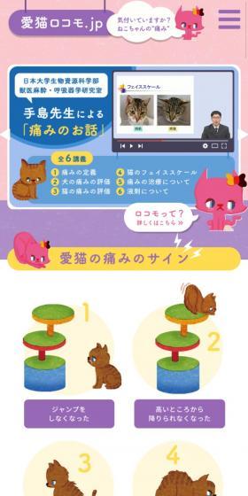 Locomotor Syndrome in My Beloved Cat LP design (Pet food and pet supplies / Pink shades / Cute style) Mobile version