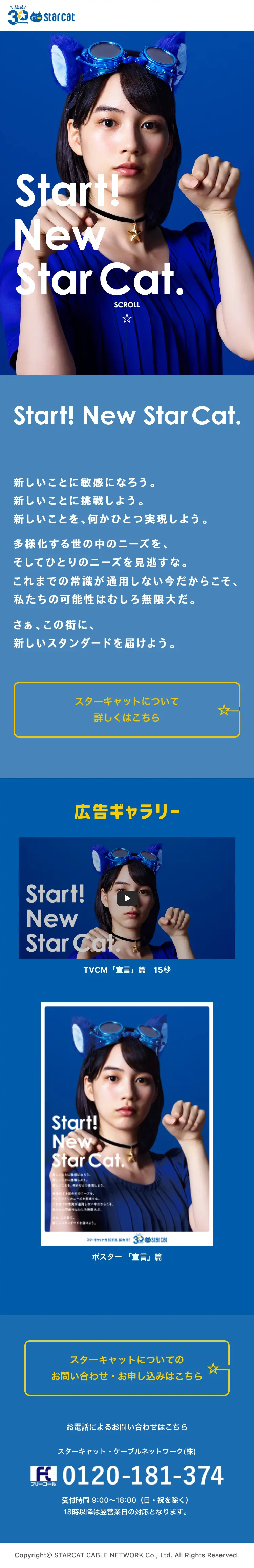 StarCat30周年のLPデザイン（インターネットサービス／ブルー系／シンプル系）PC版