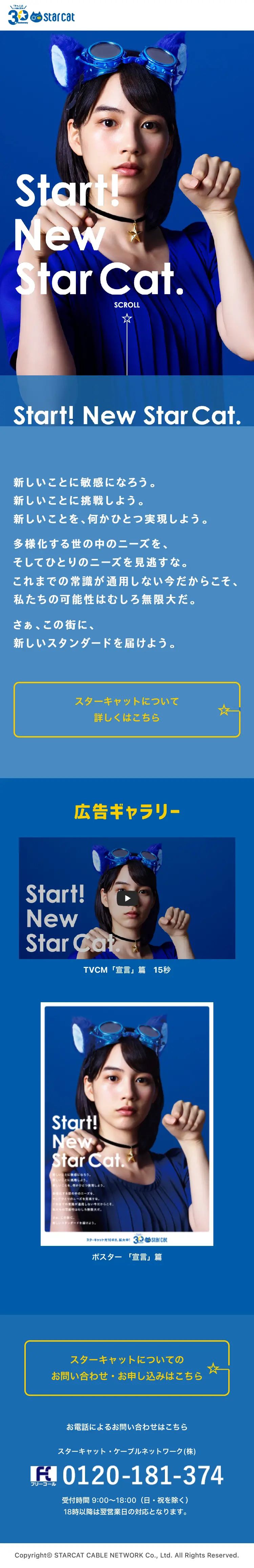 StarCat30周年のLPデザイン（インターネットサービス／ブルー系／シンプル系）スマホ版