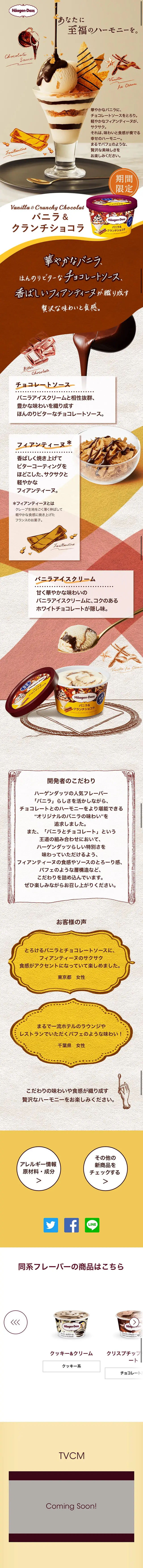 Vanilla & Crunch Chocolat LP design (Sweets and Snacks / Beige tones / Arts) Mobile version