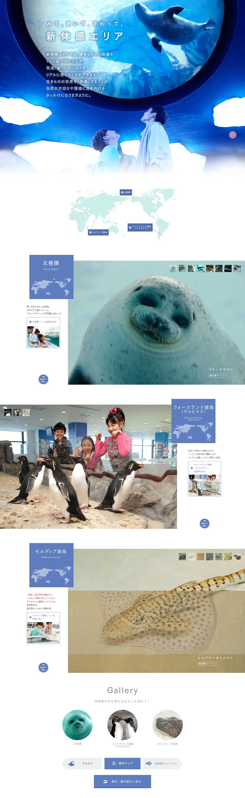New Experience Area LP design (Services, Insurance, and Finance / Shades of blue / Refreshing type) PC version