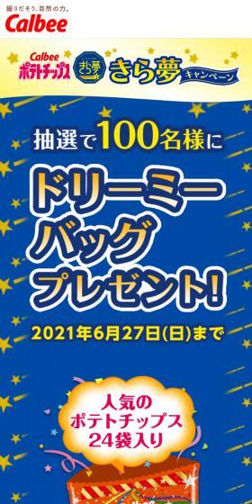 ドリーミーバッグプレゼント！