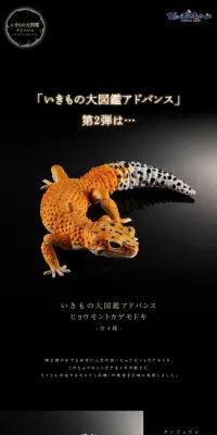 いきもの大図鑑アドバンス　ヒョウモントカゲモドキのLPデザイン（玩具・ホビー・フィギュア／ブラック系／かっこいい系）PC版