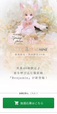 BENJAMIN Spring Flower Limited