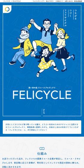 Connecting and Continuing FELICYCLE