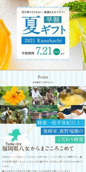 Early Bird Summer Gift LP design (Seasonings, Sweeteners, Broth, Soup / Shades of blue / Natural style) Mobile version