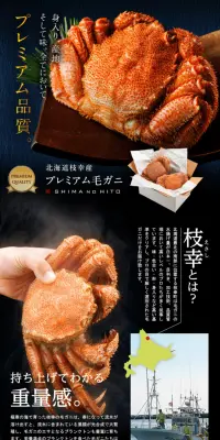 プレミアム毛蟹のLPデザイン（食品／ブルー系／和風系）PC版