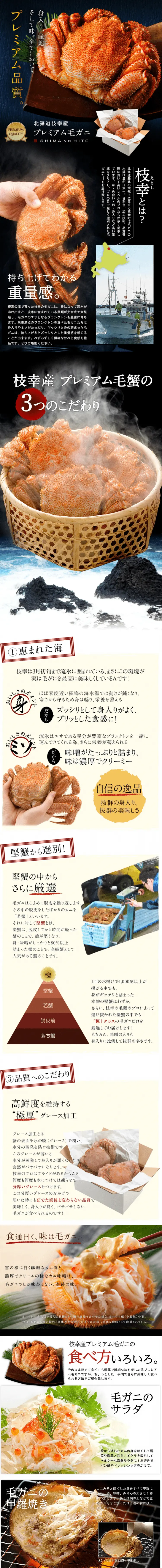 プレミアム毛蟹のLPデザイン（食品／ブルー系／和風系）PC版